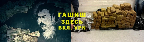 индика Алексин