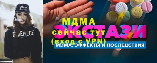 индика Алексин