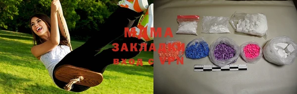 индика Алексин