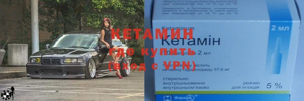 индика Алексин