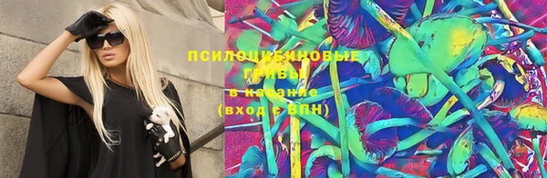 индика Алексин