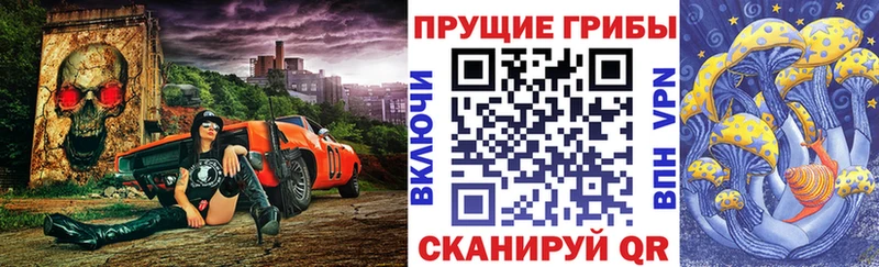 как найти закладки  Жуковский  Галлюциногенные грибы мухоморы 